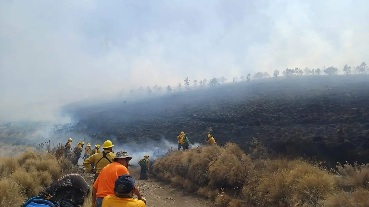 incendio forestal